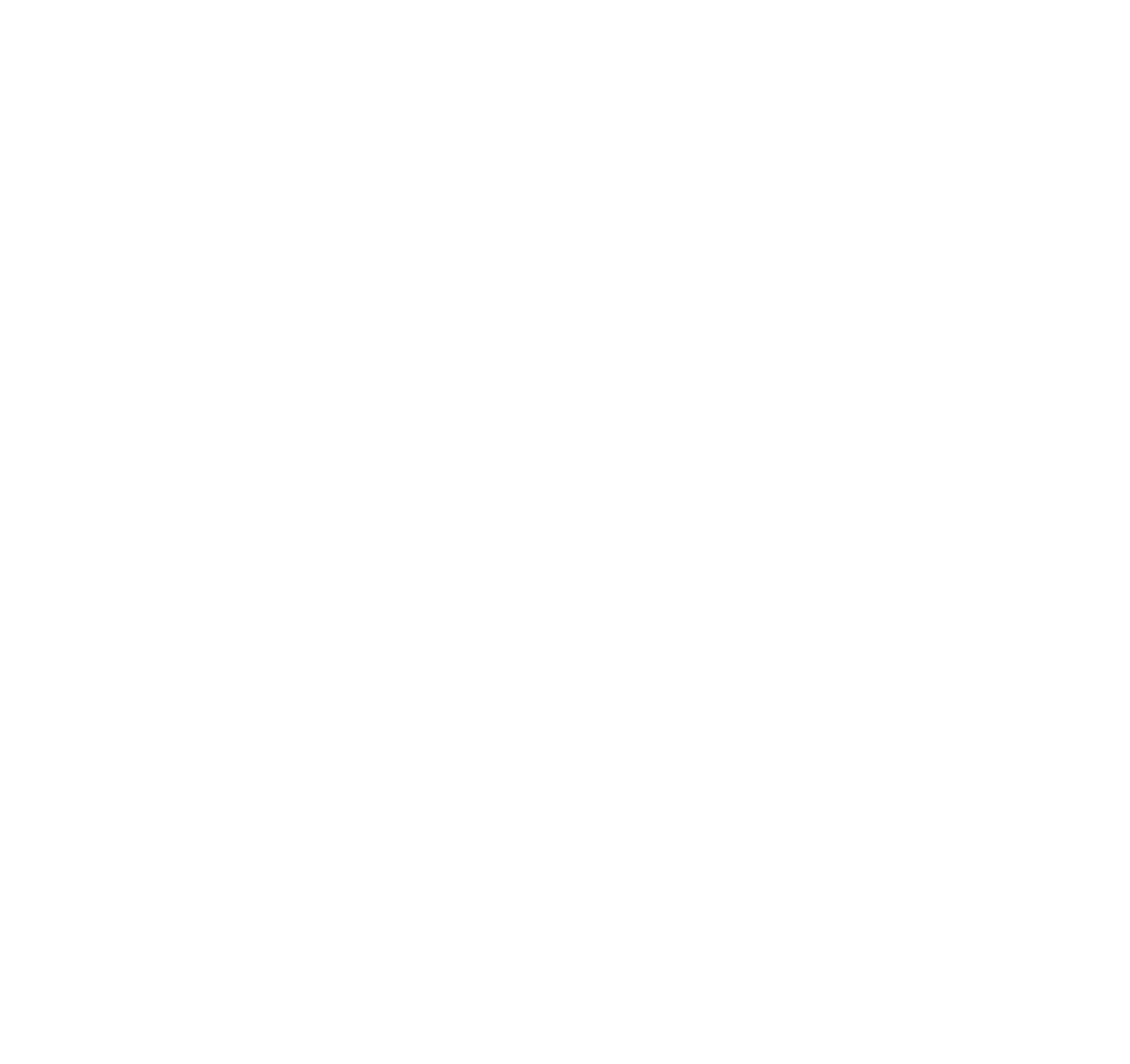 logoVdzen